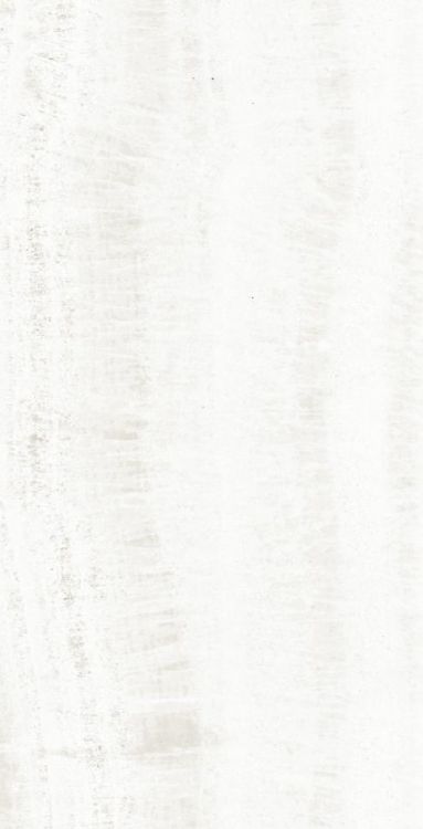 OL Onyx White Polished 12 x 24